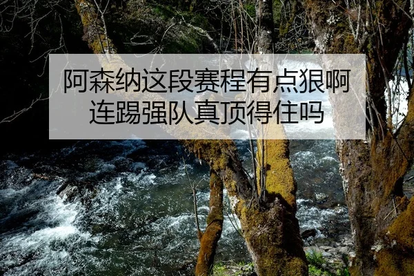 a-sen-na-zhe-duan-sai-cheng-you-dian-hen-a-lian-ti-qiang-dui-zhen-ding-de-zhu-ma-2-309.jpg